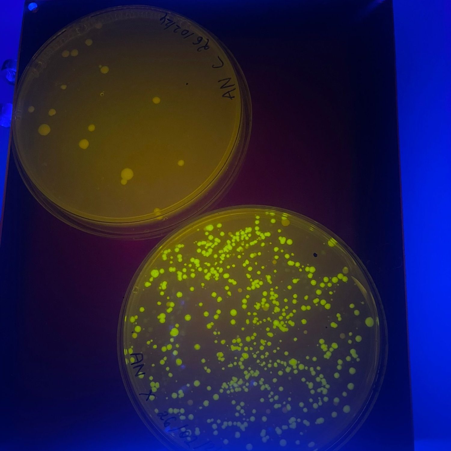 3f96a9eb-d397-4251-bb2b-93ff85bb5198-1